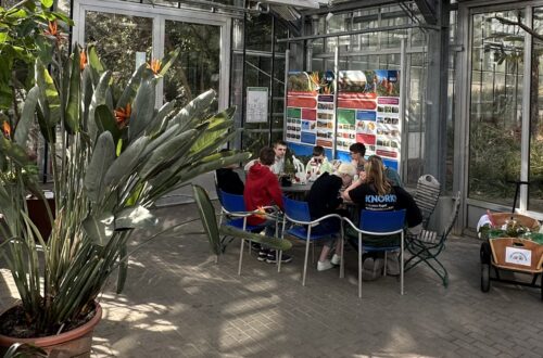 „Unter Palmen“ – Exkursion der Mathe-Asse